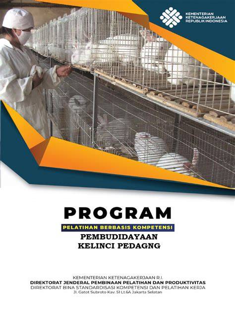 PEMBUDIDAYAAN KELINCI PEDAGNG - raincitystudios.com