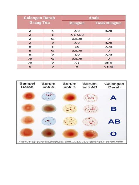 Pemeriksaan Darah - Harga & Booking Klinik Terdekat | HDmall - wintechmobiles.com