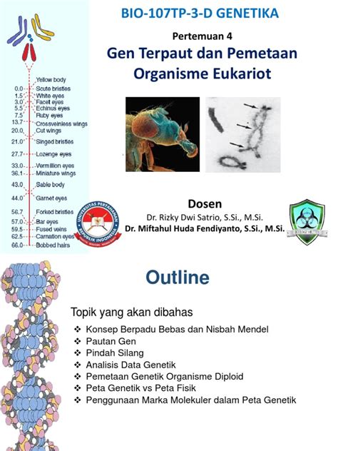 Pemetaan genetik - Wikiwand - muktibox.com