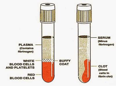 Pemisahan Serum dan Plasma dari Darah - SAKA - wintechmobiles.com