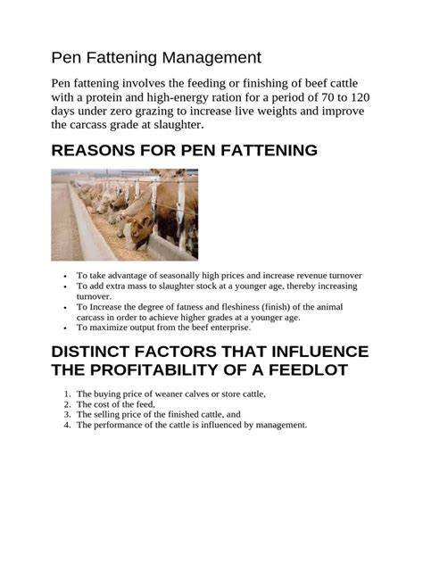 Pen Fattening Management - FeedMix - raincitystudios.com