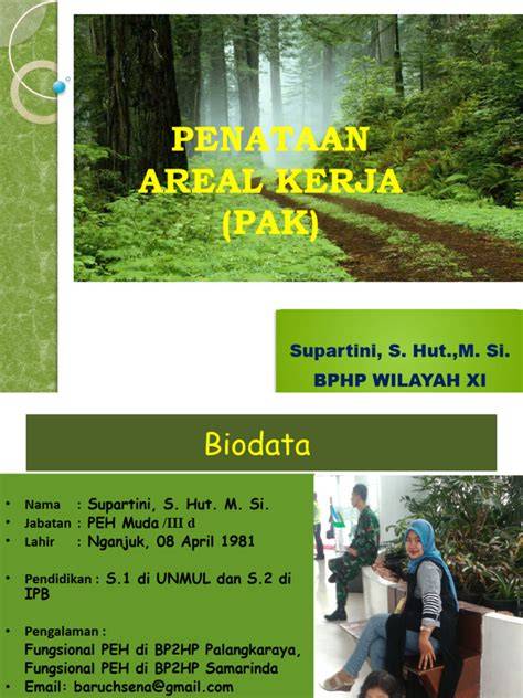 Penataan Areal Kerja Hutan Produksi - raincitystudios.com