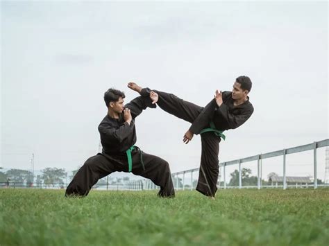 Pencak silat Images - Free Download on Freepik - muktibox.com