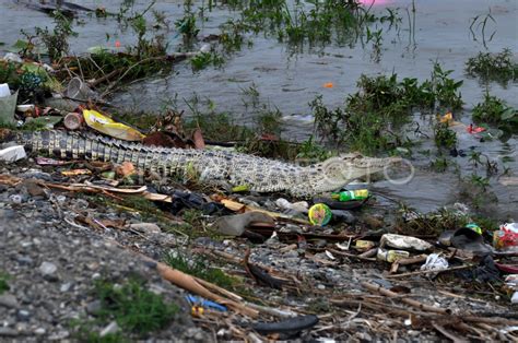 Pencemaran sungai di Indonesia - Wikipedia bahasa Indonesia ... - muktibox.com