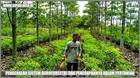 PENERAPAN SISTEM AGROFORESTRI DALAM … - raincitystudios.com
