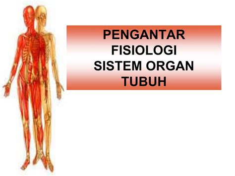 Pengantar Tubuh Manusia - Dasar-dasar - Manual … - muktibox.com