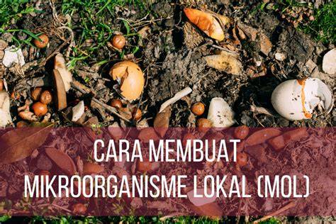PENGARUH MIKROORGANISME LOKAL (MOL) TERHADAP KUALITAS KOMPOS DAUN JATI ... - raincitystudios.com