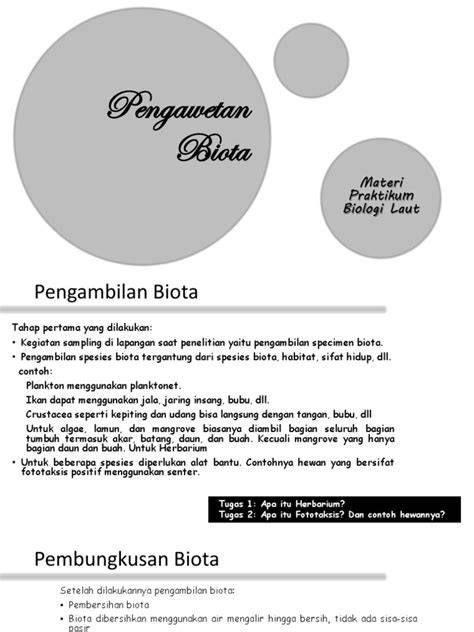 Pengawetan Biota Laut: Metode dan Proses - raincitystudios.com