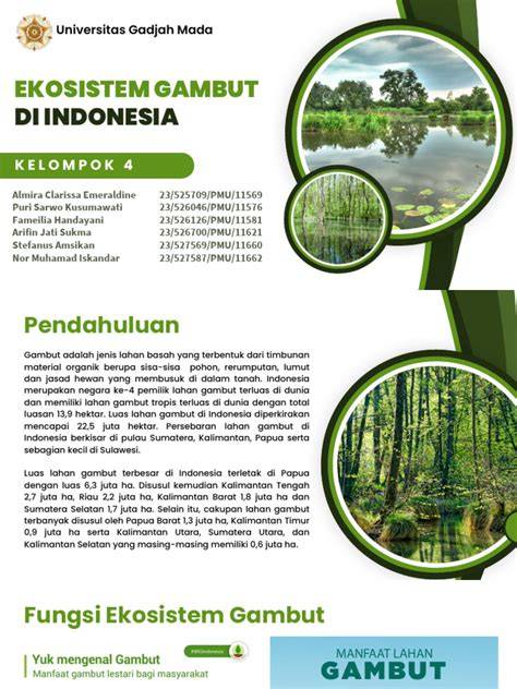 PENGELOLAAN EKOSISTEM GAMBUT SEBAGAI UPAYA … - raincitystudios.com