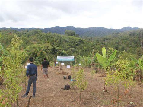 PENGELOLAAN PROGRAM HUTAN KEMASYARAKATAN BERBASIS … - raincitystudios.com