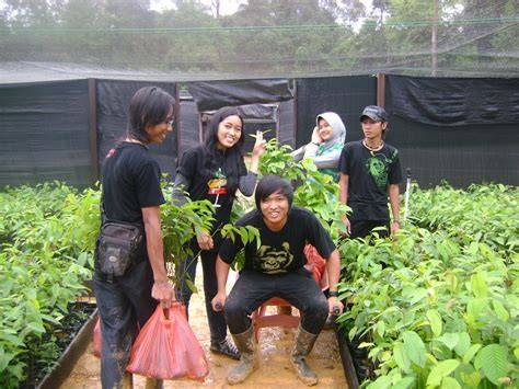 PENGELOLAAN SUMBERDAYA HUTAN BERSAMA - Neliti - raincitystudios.com