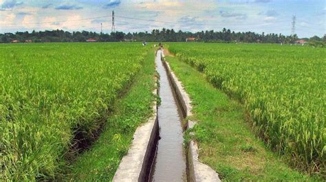 PENGEMBANGAN JARINGAN IRIGASI - Pertanian - raincitystudios.com