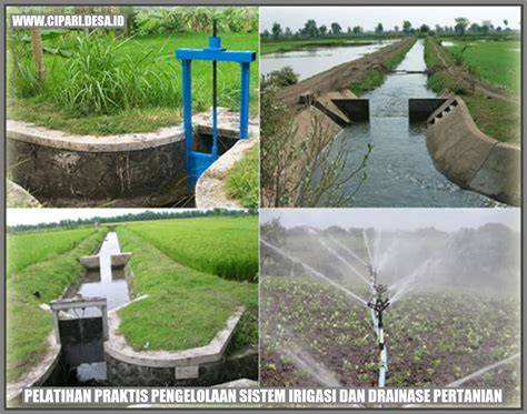 PENGENALAN IRIGASI PERTANIAN - raincitystudios.com