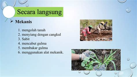 Pengendalian Secara Fisik dan Mekanis - Politanikoe - raincitystudios.com