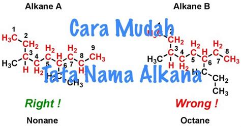 Pengertian Alkana, Alkena, dan Alkuna - wintechmobiles.com