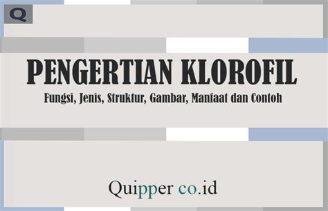 Pengertian dan Fungsi Klorofil - muktibox.com