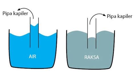 Pengertian dan Konsep Kapilaritas - wintechmobiles.com