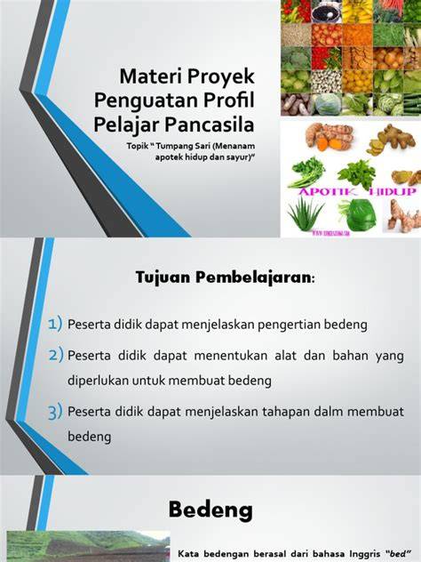 Pengertian dan Pembuatan Bedeng Tanaman | PDF - raincitystudios.com