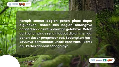 Pengertian Dari Hutan - wintechmobiles.com