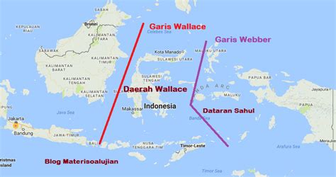 Pengertian Garis Weber - muktibox.com