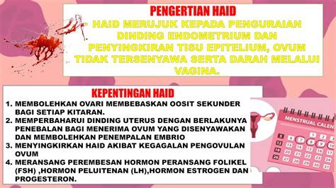 Pengertian Haid - wintechmobiles.com