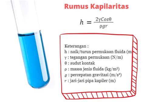 Pengertian Kapilaritas, Rumus dan Contohnya - wintechmobiles.com