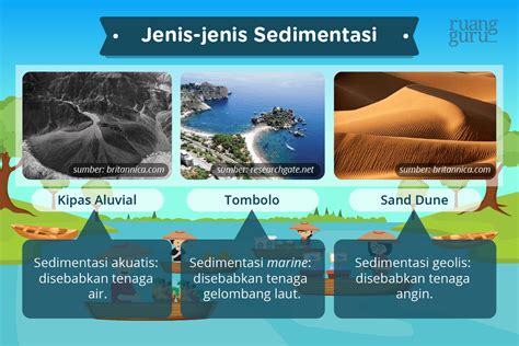 Pengertian Sedimentasi, Proses, Jenis, dan Contohnya - wintechmobiles.com