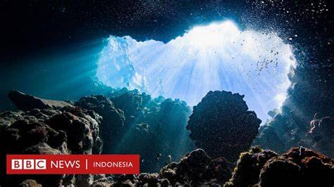 Penghasil Oksigen Dasar Laut Dalam - P3BMS - raincitystudios.com
