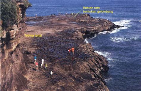 Pengikisan oleh gelombang dapat menyebabkan pemben... - Roboguru - wintechmobiles.com