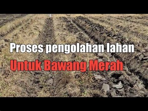 Pengolahan Lahan untuk Bawang Merah | PDF - Scribd - raincitystudios.com