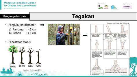 Pengukuran Diameter Batang | PDF | Metode & Bahan … - raincitystudios.com