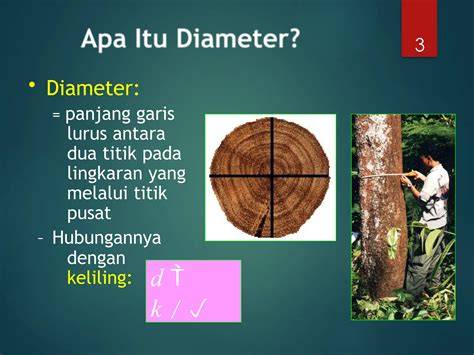 Pengukuran Diameter Pohon di Arboretum | PDF - Scribd - raincitystudios.com