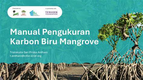 Pengukuran Stok Karbon Mangrove | PDF - Scribd - raincitystudios.com