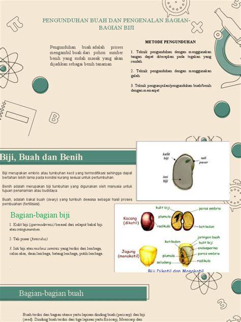 Pengunduhan Buah dan Pengenalan Biji - Blogger - raincitystudios.com