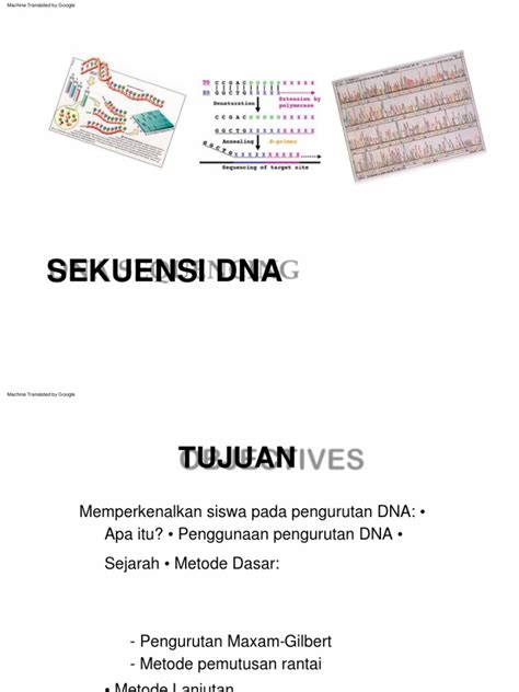 Pengurutan DNA - Wikiwand - muktibox.com