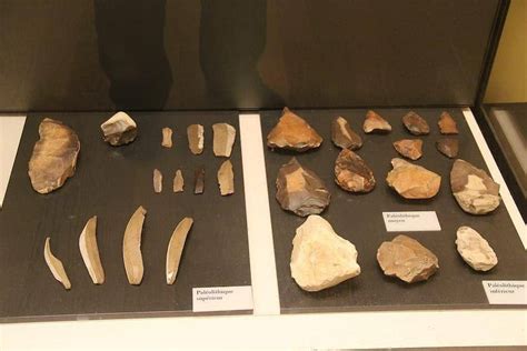 Peninggalan Zaman Paleolitikum di Indonesia - Teknosional - wintechmobiles.com