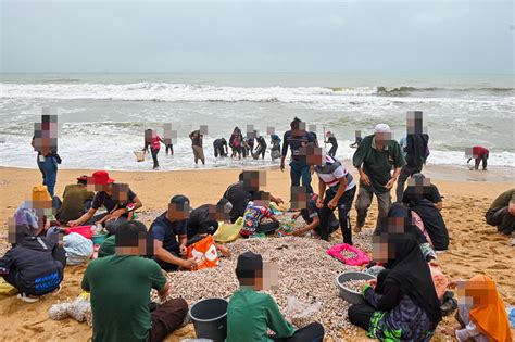 PENIS COLI pantai bugil & SMA ML bus metode sederhana kecil seputar anthology terbaru APKPure mod konten viral image 1