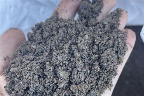 Penn pilot program uses recycled glass in alternative … - raincitystudios.com