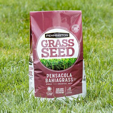 PENSACOLA SEED & GARDEN - 11 Reviews