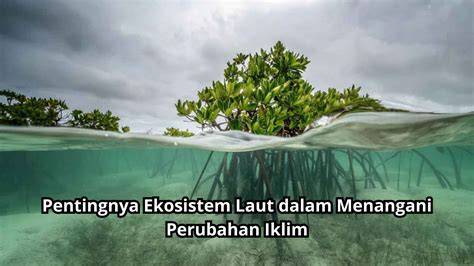 Pentingnya Ekosistem Laut dalam Menangani … - raincitystudios.com