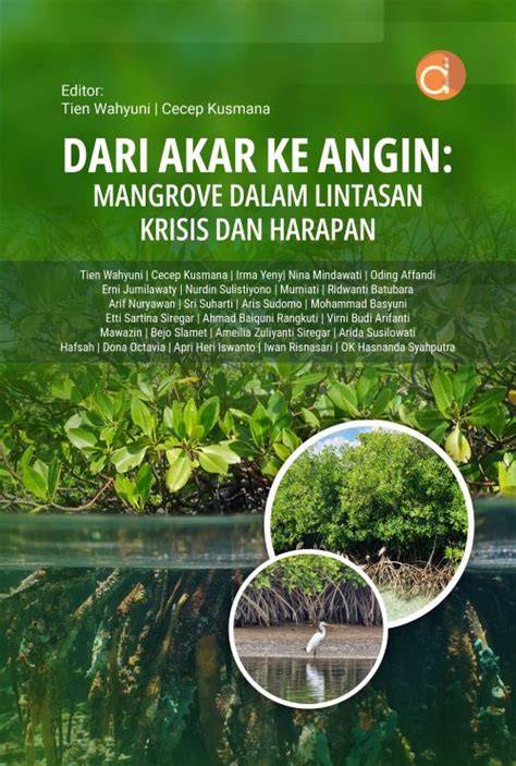 Pentingnya Mangrove dalam Menghadapi Krisis Iklim - raincitystudios.com