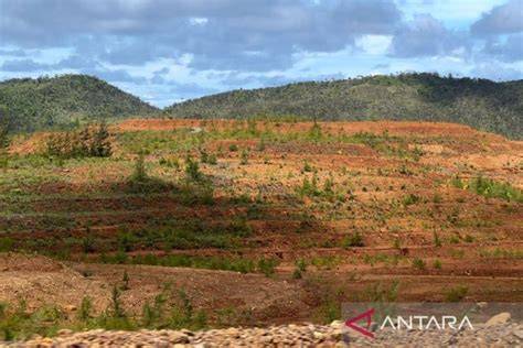 Pentingnya Rehabilitasi Lahan Bekas Tambang - Kompasiana - raincitystudios.com
