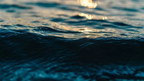 Pentingnya Salinitas Air Laut Bagi Organisme - raincitystudios.com