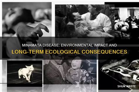 Penyakit Minamata - Wikipedia bahasa Indonesia, ensiklopedia bebas - wintechmobiles.com