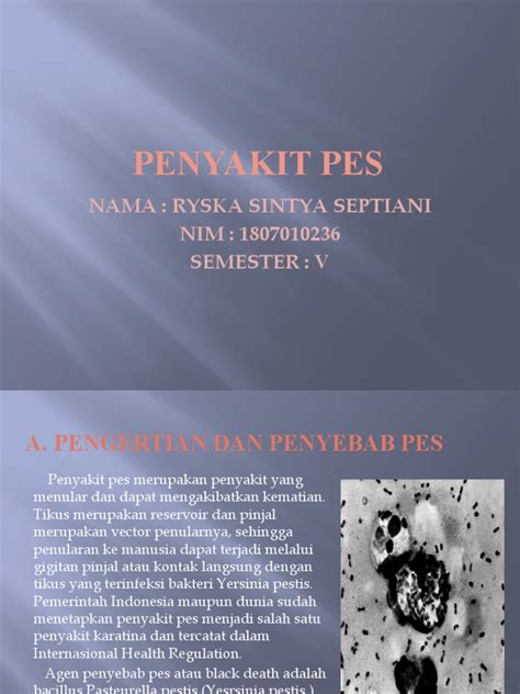 Penyakit Pes - Gejala, Penyebab, dan Pengobatan - wintechmobiles.com