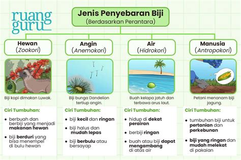 Penyebaran biji - Wikipedia bahasa Indonesia, … - muktibox.com