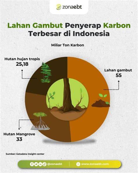 Penyerap karbon terbesar - Dewan Sains Internasional - raincitystudios.com