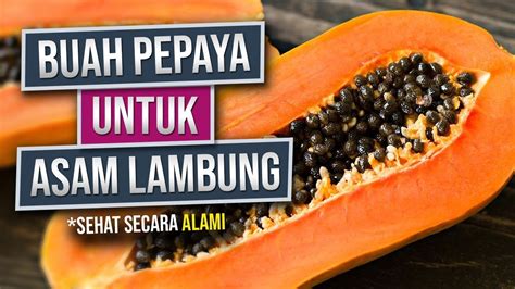 Pepaya Bagus Untuk Asam Lambung - wintechmobiles.com