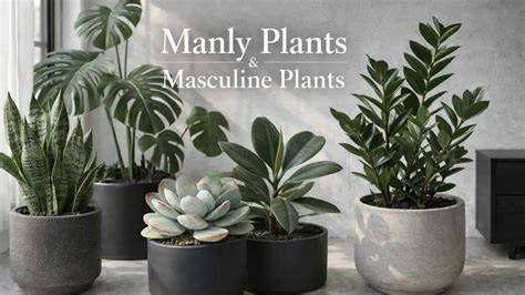 Pepe’s Plants - Organic Florida Fruit Trees with Free … - raincitystudios.com