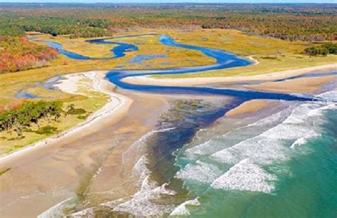 PEPER EKOSISTEM ESTUARI - muktibox.com